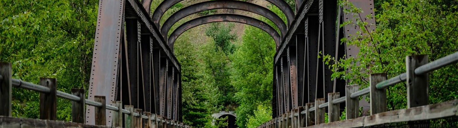 Environment